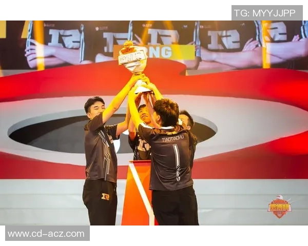 RNG战队成员个人能力分析与表现评估探讨