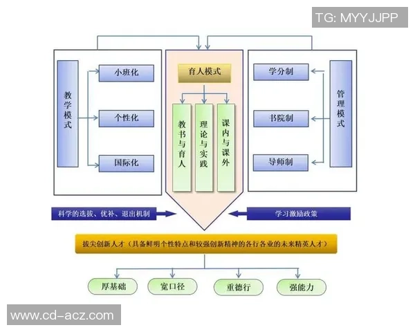 上海滑板队运营模式创新探索与发展路径分析