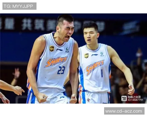 深入探讨杭州篮球队比赛经验的优势与不足对比分析 深入探讨杭州篮球队比赛经验的优势与不足对比分析