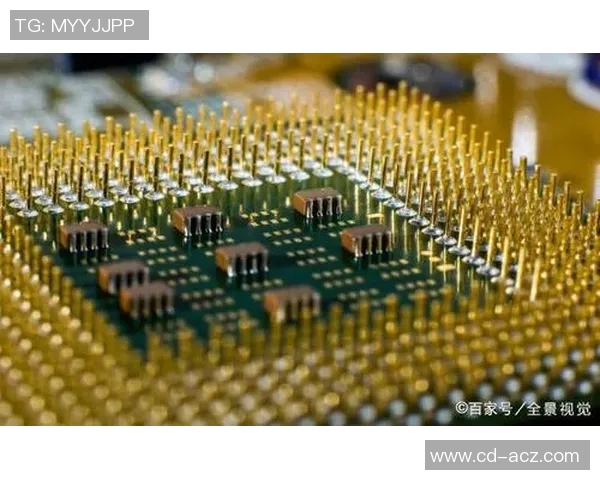 武汉乒乓球队的反击之路：从困境到崛起的全景解读与展望