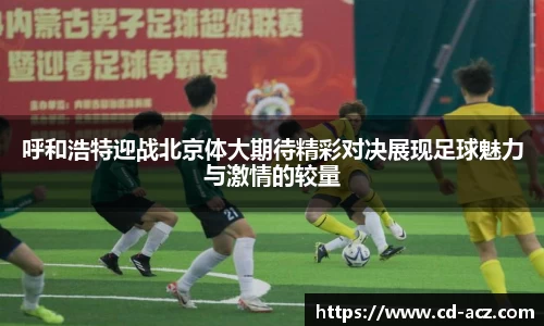 乐发vll平台